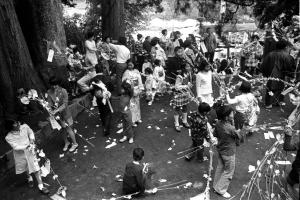 物見花祭り